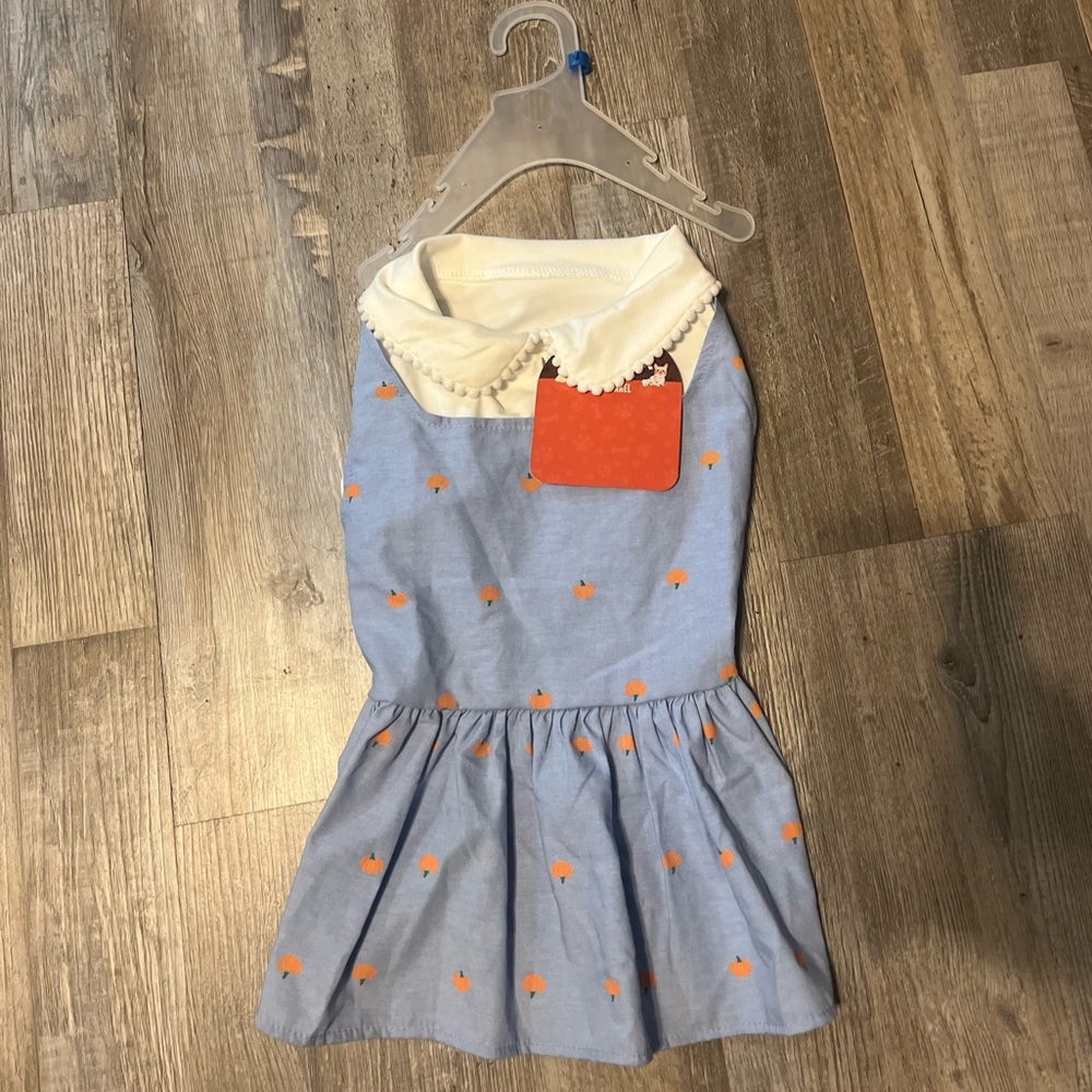 Howler Lane Pet Apparel with Pumpkin Design Med Dog Dress    (HB)